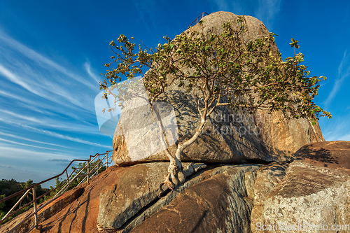 Image of Meditation rock in Mihintaleon sunset, Sri Lanka