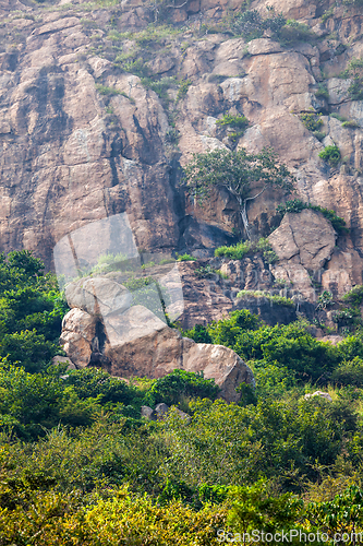 Image of Shiva's foot - foot shaped rock at Mount Arunachala in Tiruvannamalai, Tamil Nadu, India