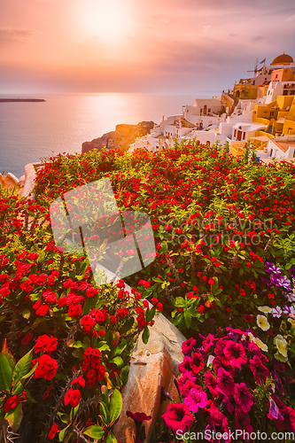 Image of Sunset over Oia town on Santorini island in summer. Santorini, Greece