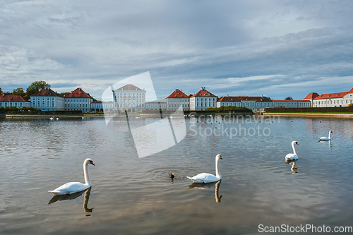 Image of Swan in pond near Nymphenburg Palace. Munich, Bavaria, Germany