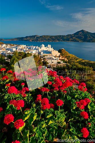 Image of Red geranium flowers with Greek village Plaka on Milos island in Greece