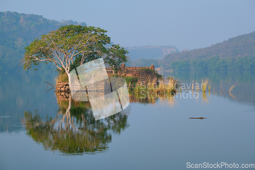 Image of Serene morning on lake Padma Talao. Ranthambore National Park, Rajasthan, India