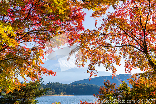 Image of Mount Fuji in Autumn season of Japan