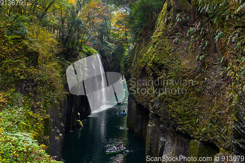 Image of Yellow leaves in Takachiho Gorge
