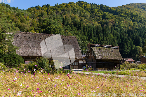 Image of Traditional Japanese village Shirakawago