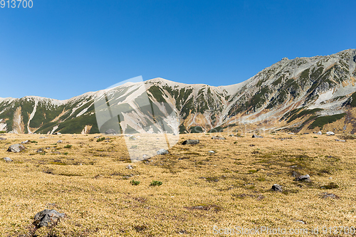 Image of Highland in Daikanbo