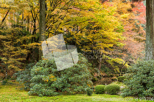 Image of Japanese temple garden