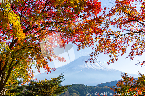 Image of Lake kawaguchiko and Mt.Fuji in autumn