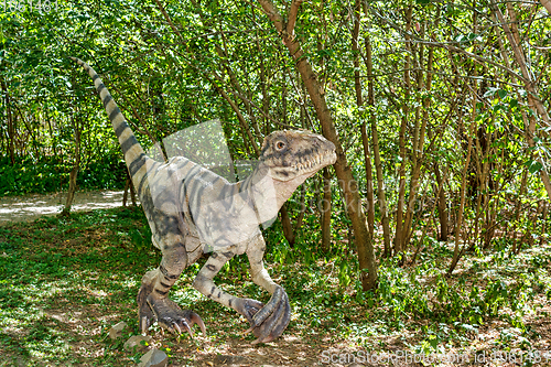 Image of prehistoric dinosaurs raptor