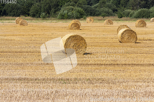 Image of straw bales