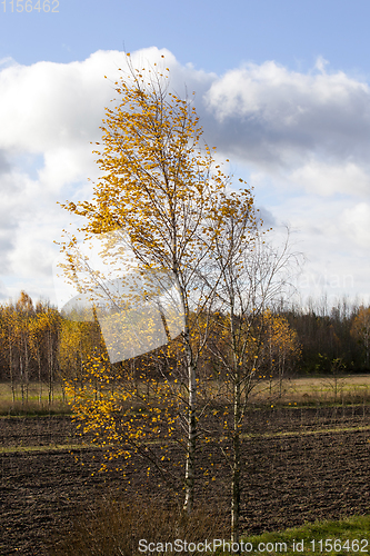 Image of autumn landscape