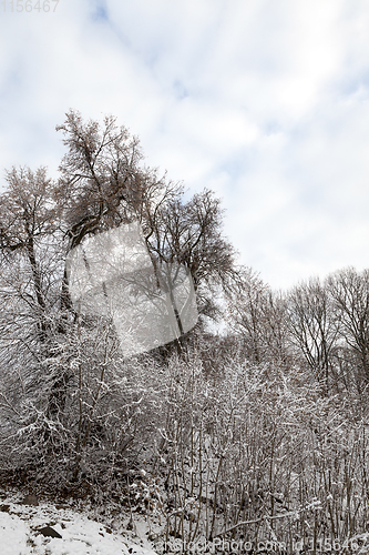 Image of Snow in winter