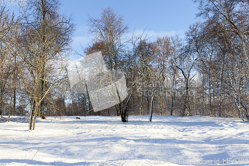 Image of after a snowfall