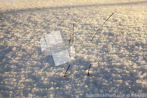 Image of Snow drifts in winter