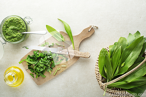 Image of wild garlic pesto