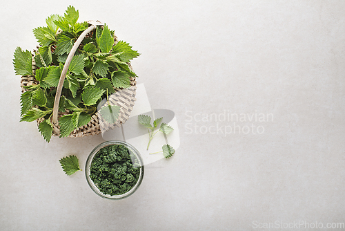 Image of Nettle pesto 