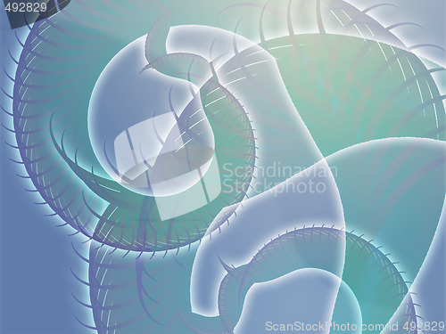 Image of Spiral fronds design