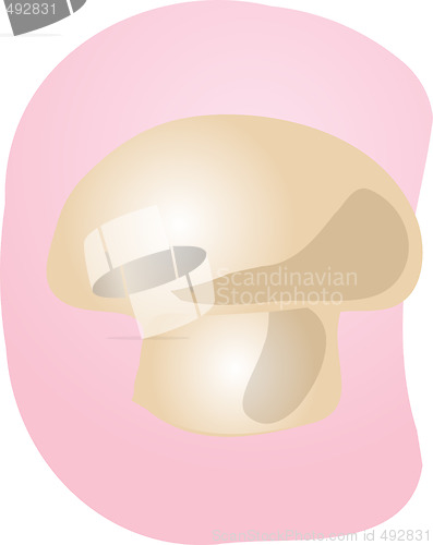 Image of Mushroom illustration