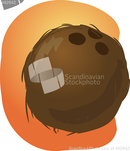 Image of Coconut illustration