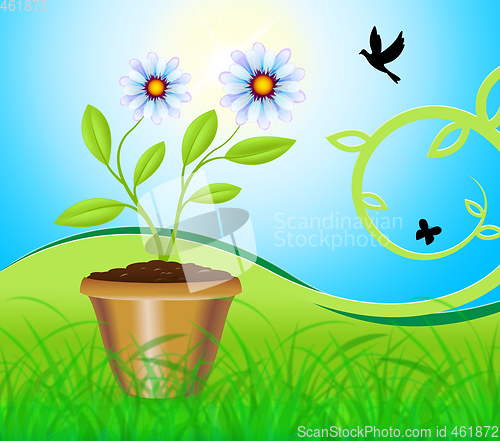 Image of Potted Plant Means Flower And Gardening 3d Illustration