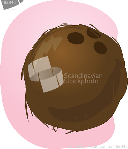 Image of Coconut illustration