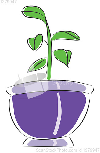 Image of Pot with a small flower illustration vector on white background 