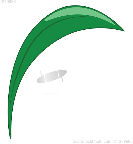 Image of Green leaf vector or color illustration