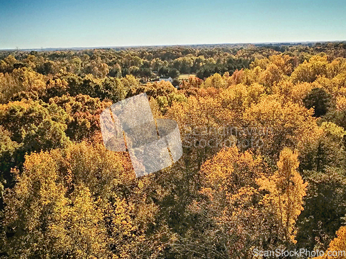 Image of aerial view of colorful trees in a neighborhood before sunset