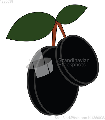 Image of Pair of olives vector or color illustration