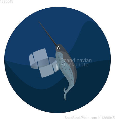 Image of Narwhal, vector or color illustration.