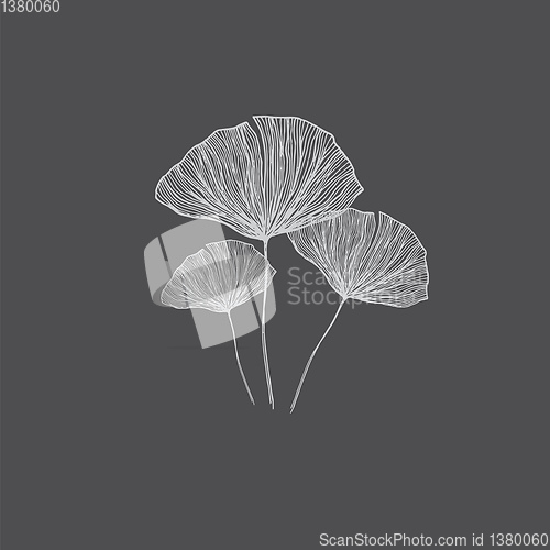 Image of Portrait of black and white flower over black background vector 