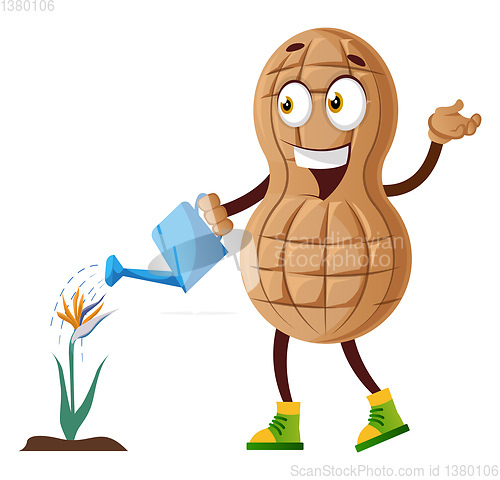 Image of Peanut watering flowers, illustration, vector on white backgroun