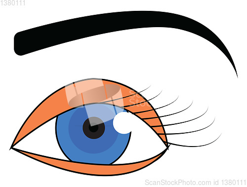 Image of Blue eye with black eyebrow vector illustration on white backgro