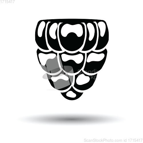 Image of Icon of Raspberry