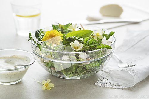 Image of Spring salad