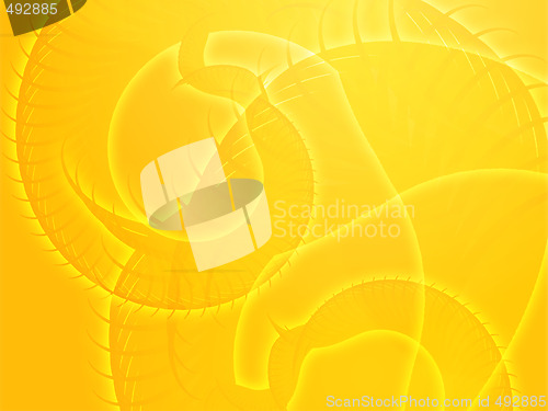 Image of Spiral fronds design