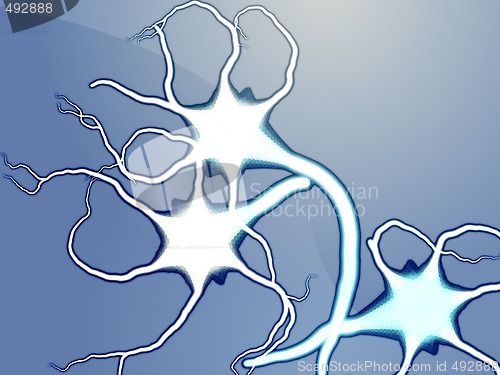 Image of Nerve cells illustration