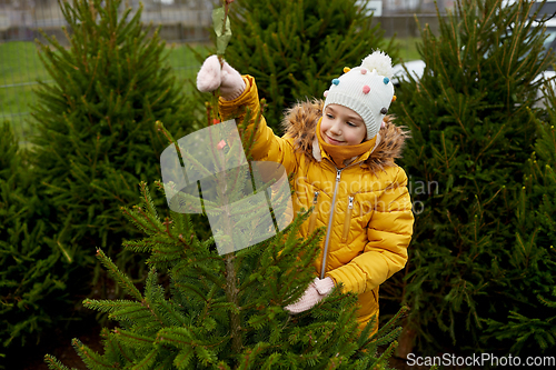 Image of little girl choosing christmas tree at market