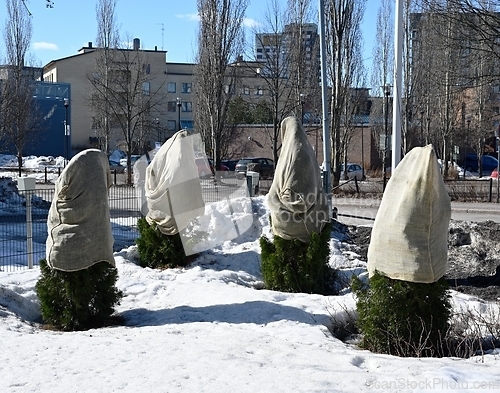 Image of plants in the city covered with bags 