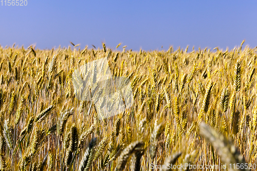 Image of agricultural field