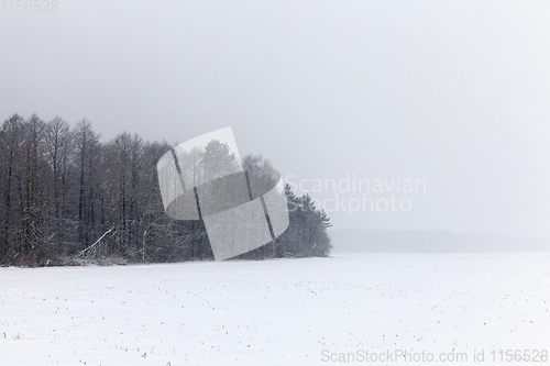 Image of Snow drifts in winter