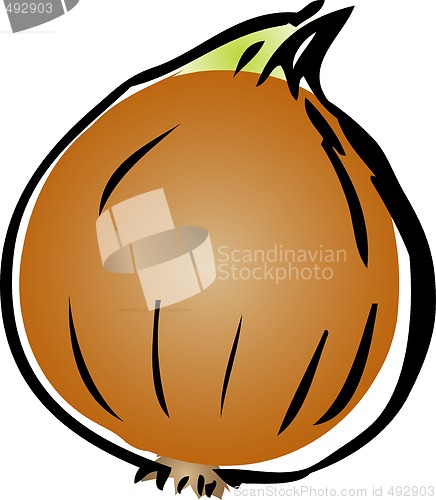 Image of Onion illustration
