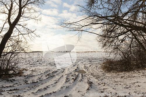Image of field in winter
