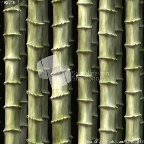 Image of Bamboo plants