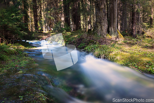 Image of mountain stream in spring