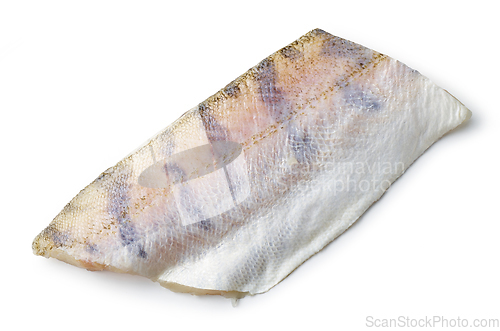 Image of cut of fresh raw zander filet