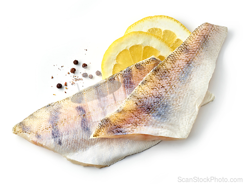 Image of fresh raw zander filet