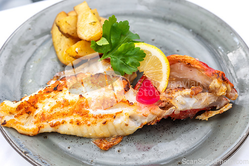 Image of plate of grilled fish fillet