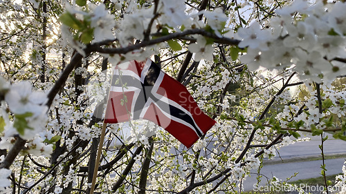 Image of Spring in Norway