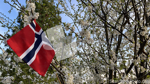 Image of Norway flag